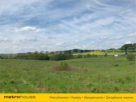 Działka inna na sprzedaż Trzepowo, Przywidz 1 002m2 Foto 3
