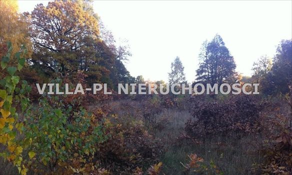 Działka budowlana na sprzedaż Łódź, Bałuty 2 900m2 Foto 2