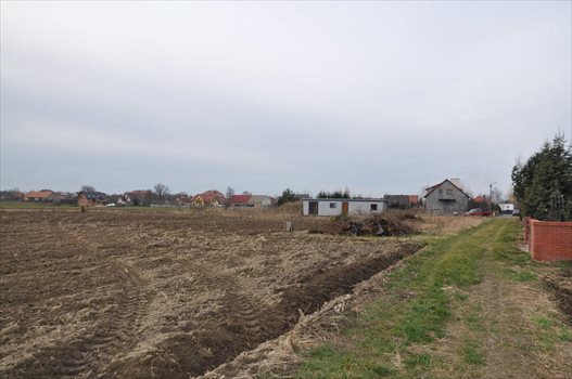 Działka budowlana na sprzedaż Rogów Sobócki, Słoneczna 1 299m2 Foto 5