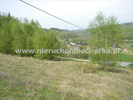 Działka budowlana na sprzedaż Limanowa 3 676m2 Foto 7