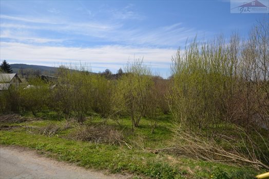 Działka rekreacyjna na sprzedaż Hołuczków 1 200m2 Foto 4