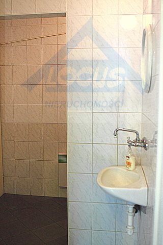 Lokal użytkowy na sprzedaż Nowy Konik 2 300m2 Foto 9