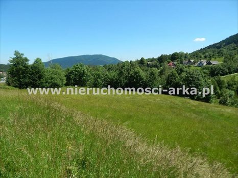 Działka budowlana na sprzedaż Dobra 3 600m2 Foto 1