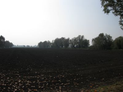 Działka inna na sprzedaż Kazimierzowo, Kazimierzowo 21 172m2 Foto 6