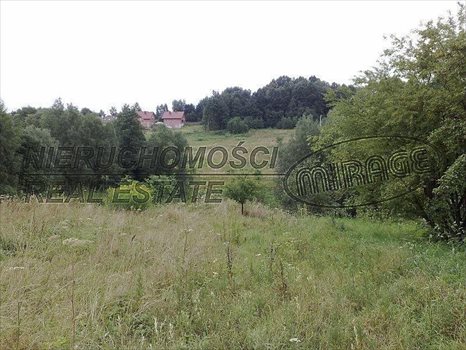 Działka inna na sprzedaż Gaj, Gaj Maryjna 19 278m2 Foto 2