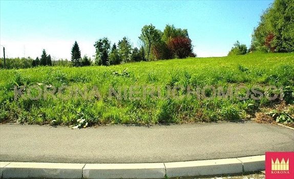 Działka komercyjna na sprzedaż Rybnik 11 783m2 Foto 3
