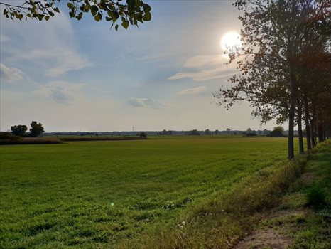 Dom na sprzedaż Dymaczewo Stare, Przy Parku 100m2 Foto 5