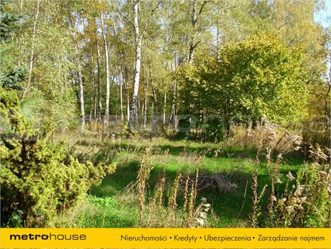 Działka rolna na sprzedaż Łódź, Bałuty 6 058m2 Foto 3