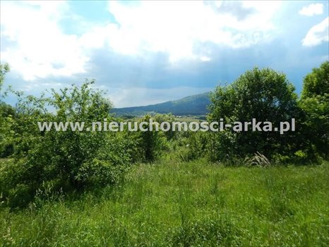 Działka budowlana na sprzedaż Kasina Wielka 1 500m2 Foto 3