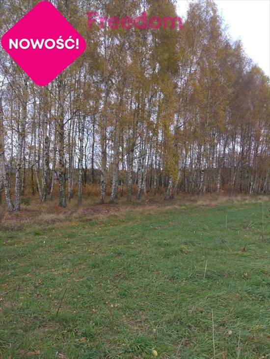 Dom na sprzedaż Tuszyn, Roberta Kocha 222m2 Foto 8