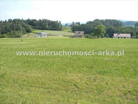 Działka rolna na sprzedaż Stare Rybie 10 800m2 Foto 2