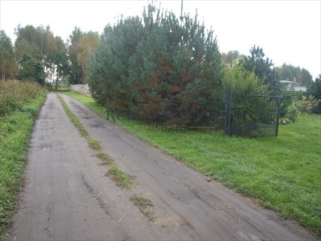 Działka rolna na sprzedaż Konstancin-Jeziorna 3 700m2 Foto 6