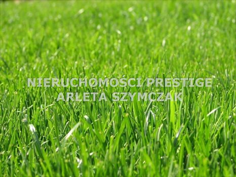 Działka inna na sprzedaż Jastrzębie-Zdrój, Osiedle Arki Bożka, Zamłynie 1 051m2 Foto 1