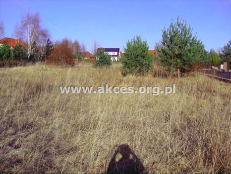 Działka budowlana na sprzedaż Łoś 1 390m2 Foto 9