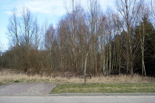 Działka budowlana na sprzedaż Drawsko Pomorskie, Jeziorna 4 302m2 Foto 2