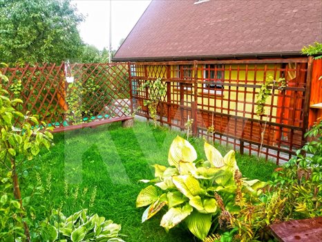 Działka rekreacyjna na sprzedaż Żory, Brzozowa 330m2 Foto 7