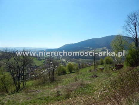 Działka budowlana na sprzedaż Mszana Dolna 4 400m2 Foto 2