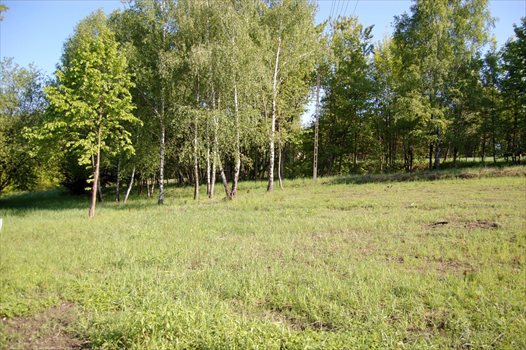 Działka budowlana na sprzedaż Mikołów, Gniotek, Na Wzgórzu 827m2 Foto 3