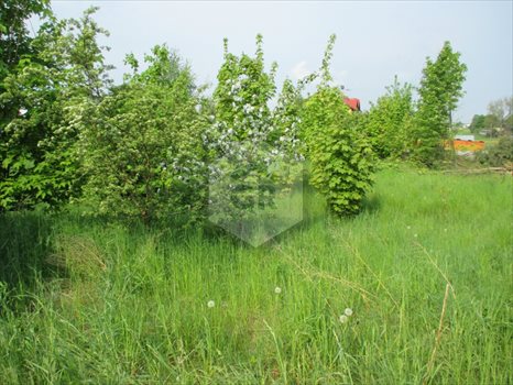 Działka budowlana na sprzedaż Kościerzyna 1 442m2 Foto 2