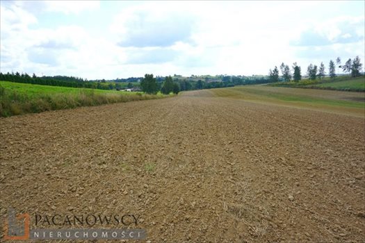 Działka budowlana na sprzedaż Masłomiąca 1 500m2 Foto 6