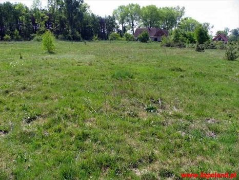 Działka inna na sprzedaż Mzdowo, ŚRÓDMIEŚCIE-CENTRUM 38 600m2 Foto 3