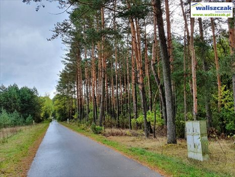 Działka budowlana na sprzedaż Ostrów 1 306m2 Foto 3