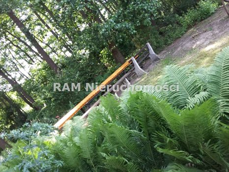 Dom na sprzedaż Tarnów Jezierny 125m2 Foto 6
