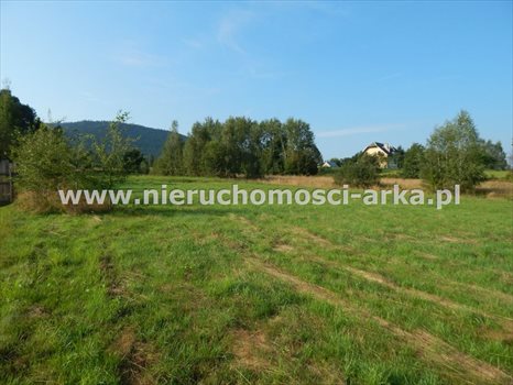 Działka budowlana na sprzedaż Dobra 3 100m2 Foto 5