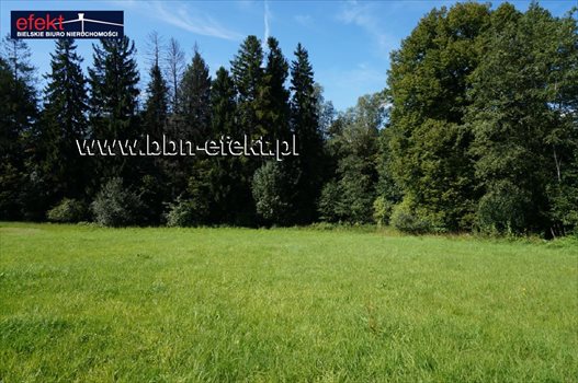 Działka budowlana na sprzedaż Świętoszówka 4 707m2 Foto 12