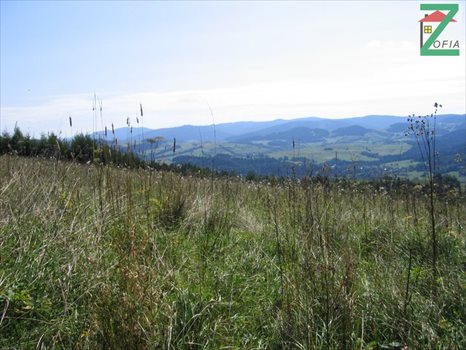 Działka rolna na sprzedaż RABKA-ZDRÓJ 4 159m2 Foto 3