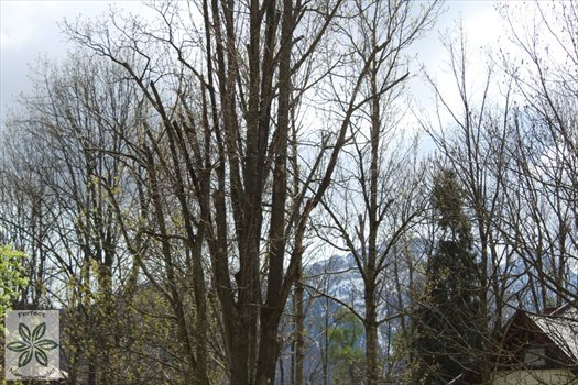 Mieszkanie trzypokojowe na sprzedaż Zakopane, Centrum 77m2 Foto 2
