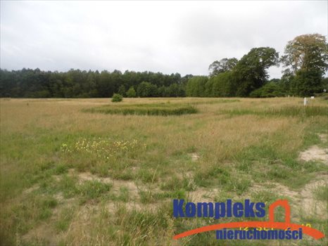 Działka budowlana na sprzedaż Grzepnica 1 553m2 Foto 4