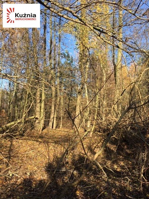 Działka budowlana na sprzedaż Siestrzeń, Łąkowa 2 064m2 Foto 9