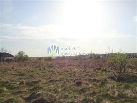 Działka budowlana na sprzedaż Sadowa, Wędrowców 5 280m2 Foto 5