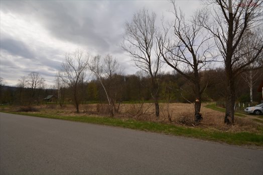 Działka rekreacyjna na sprzedaż Nowe Sady 2 900m2 Foto 3