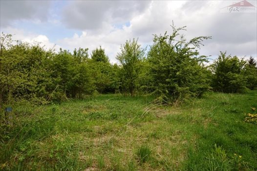 Działka budowlana na sprzedaż Ostrów 3 800m2 Foto 8