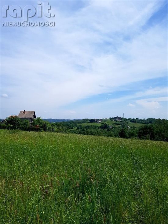 Działka budowlana na sprzedaż Krzyszkowice 740m2 Foto 3