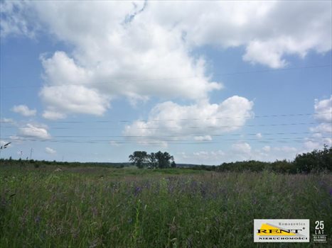 Działka budowlana na sprzedaż Mierzyn 1 917m2 Foto 3