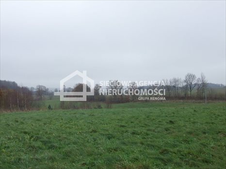 Działka rolna na sprzedaż Trzepowo 40 200m2 Foto 8