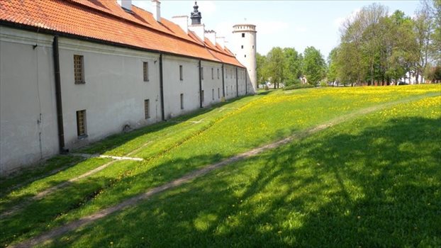 Działka budowlana na sprzedaż Sulejów, Sulejów, Ustronna 1 000m2 Foto 11