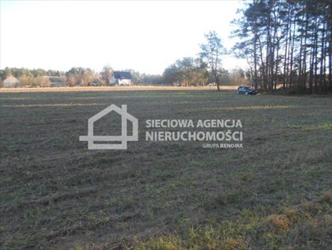 Działka budowlana na sprzedaż Rokity 1 157m2 Foto 12