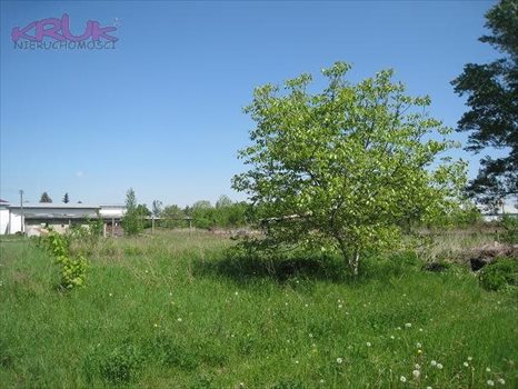 Działka inwestycyjna na sprzedaż Brzeg 25 949m2 Foto 6