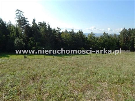Działka budowlana na sprzedaż Mszana Dolna 7 500m2 Foto 2