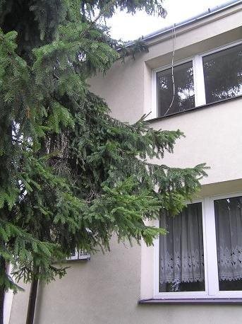 Działka inwestycyjna na sprzedaż Warszawa, Włochy, Aksamitna 29 1 200m2 Foto 7