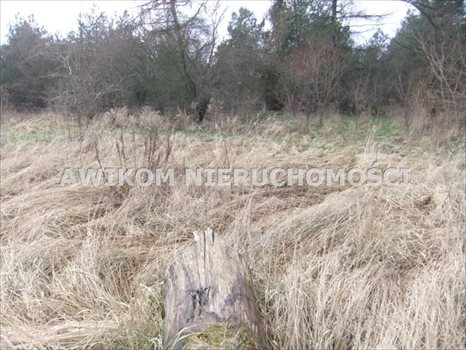 Działka rolna na sprzedaż Skierniewice, Rawka 8 294m2 Foto 2