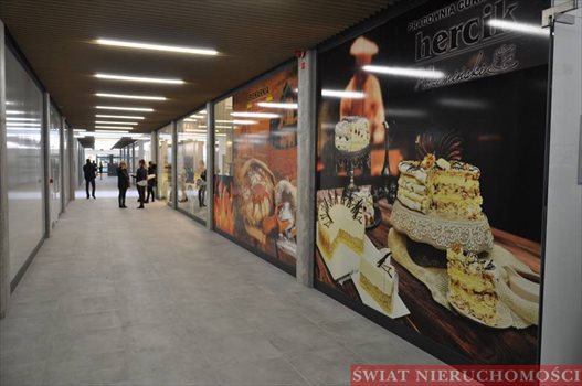 Lokal użytkowy na sprzedaż Wrocław, Maślice 248m2 Foto 11