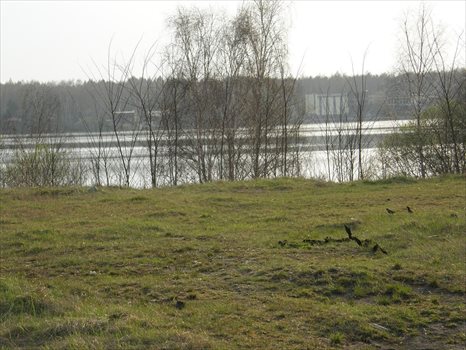 Działka budowlana na sprzedaż Dąbrowa Górnicza, Pogoria 1, Świętego Antoniego 5 144m2 Foto 4