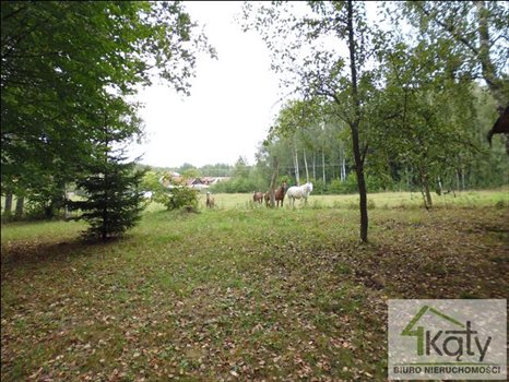 Działka budowlana na sprzedaż Mątki, Mątki, Mątki 4 300m2 Foto 2