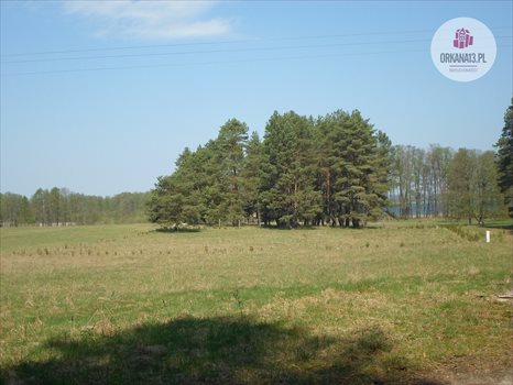 Działka rekreacyjna na sprzedaż Ząbie, Ząbie 2 981m2 Foto 1