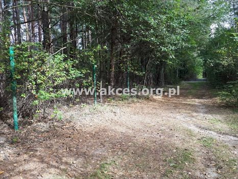 Działka budowlana na sprzedaż Prace Duże 3 000m2 Foto 8